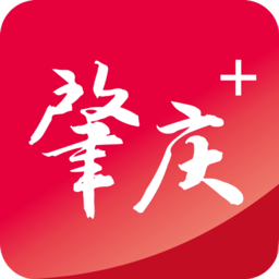 开云app官方入口网站国际的市场定位与优势